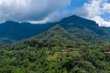 Kırmızı ve yeşil çatıları olan küçük bir kulübe, arka planda dramatik dağ zirveleri ve alçak bulutlarla yeşil bir yamaçtaki yoğun tropikal ormanlarda bulunur. Sahne, Laos kırsalının zengin yeşilliğini ve uzak atmosferini yakalıyor..