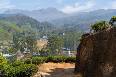 Engebeli bir toprak yol, geniş bir kaya çıkıntısının yanından kıvrılarak çay tarlaları, orman yamaçları ve Hindistan 'ın Munnar tepelerindeki uzak bir köy üzerindeki panoramik manzarayı ortaya çıkarır. Kıtır gün ışığı yeşilliğin ve dramatik dağın dokusunu vurgular