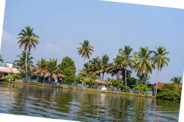 Palmiye ağaçları ve renkli köy evleri Alappuzha, Kerala 'daki suların kenarına dizilir. Yansımalar, berrak mavi bir gökyüzünün altında sakin bir tropikal manzara yaratarak dalgalanır..