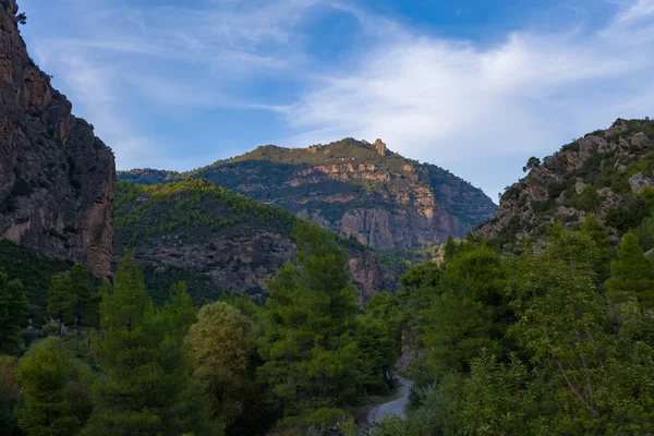 Yunanistan 'ın Kalavrita kenti yakınlarındaki engebeli bir vadi boyunca sarp kayalıklar ve yoğun çam ağaçları bir dolambaçlı yol oluşturuyor. Yumuşak öğleden sonra ışığı, mavi gökyüzünün altındaki yeşil bitki örtüsünün dokulu yamaçlarını ve katmanlarını vurgular..