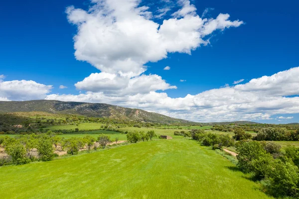 Dağılmış ağaçlarla çevrili geniş çimenli alan İspanya Bierge yakınlarında dramatik beyaz bulutlarla dolu canlı mavi bir gökyüzünün altında yuvarlanan tepelere ve engebeli dağlara yol açar. Güneş ışığı yemyeşil bahar büyümesini ve açık kırsal atmosferi güçlendirir..