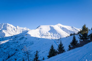 Parlak kış güneşi, Mont Blanc 'ın el değmemiş karlı yamaçlarını aydınlatıyor. Dağılmış yeşil ağaçlar ve canlı mavi bir gökyüzü, sakin bir alp manzarası yaratıyor..
