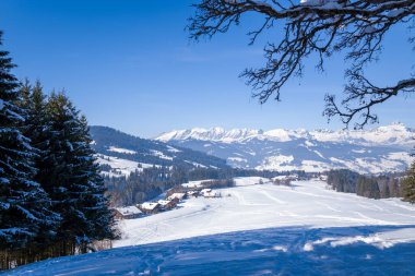 Çam ağaçları ve açık mavi gökyüzünün altındaki engebeli dağlar tarafından çerçevelenmiş, karla kaplı bir vadinin manzarası. Kıtır güneş ışığı dingin manzarayı ve taze kar dokularını vurgular.