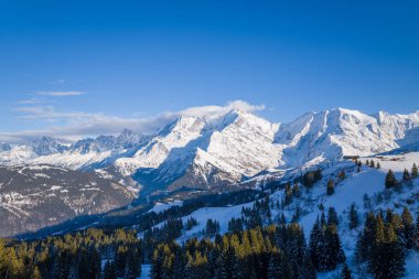 Mont Blanc 'ın engebeli, karla kaplı tepelerinin yoğun bir çam ormanının üzerinde berrak mavi gökyüzünün altında yükselişinin geniş bir görüntüsü. Kış ışığı dramatik alp manzarasını ve dingin doğal güzelliği vurgular..