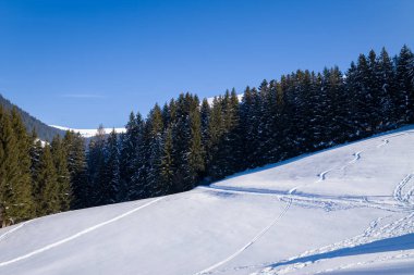 Yoğun yeşil ormanlarla çevrili dolambaçlı kayak patikalarıyla işaretlenmiş el değmemiş kar kaplı yamaç. Parlak kış güneşi, dingin bir alp atmosferi yaratmak için kıtır kıtır gölgeler bırakır..