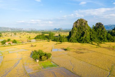 Havadan bakıldığında, Güneydoğu Asya kırsalındaki geniş altın pirinç tarlalarının üzerinde yemyeşil yeşilliklerle kaplı dramatik kireçtaşı oluşumları görülüyor. Olay yeri geometrik alan şekilleri, dağınık çiftlik evleri ve canlı doğal