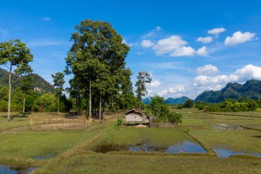 Sel basmış pirinç tarlalarının yanındaki uzun ağaçların arasında, açık mavi gökyüzünün altındaki kireçtaşından uzak tepelere doğru uzanan yeşil tarlalar var. Açık kırsal alan, doğal dokuları ve sakin atmosferi vurgular.