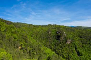 Foret domaniale de la Vis 'de açık mavi bir gökyüzünün altında yoğun ağaçlarla kaplı yeşil yapraklarla kaplı tepelerin geniş manzarası. Güneş ışığı, manzaranın doğal hatlarını ve zengin dokularını ön plana çıkararak, bir sakinlik ve genişleme hissi uyandırıyor..