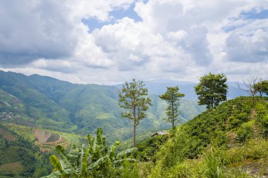 Verdant yamaçları yoğun bitki örtüsüyle kaplı ve dağınık ağaçlar Kuzey Vietnam 'daki geniş bir dağ vadisine bakıyor. Dramatik bulutlar, manzaranın üzerine yumuşak gölgeler bırakarak sakin ve geniş bir manzara yaratıyor..
