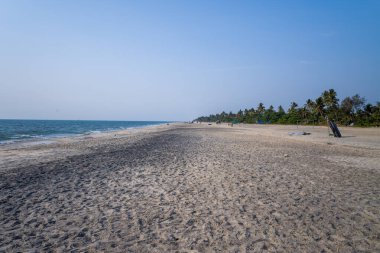 Hindistan 'ın Alappuzha kentindeki Arap Denizi boyunca uzanan geniş kumlu kıyı şeridi, yumuşak dalgalar ve berrak mavi gökyüzünün altında bir sıra yemyeşil palmiye ağaçlarıyla doludur. Sakin sahne, sakin ve açık bir mekan hissi uyandırıyor..