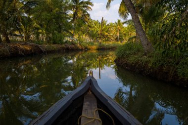 Ahşap bir kanonun yayı Hindistan 'ın Munroe Adası' ndaki yoğun palmiye ağaçları ve canlı yeşilliklerle kaplı dar bir tropikal su yoluna işaret ediyor. Ilık güneş ışığı, sakin sudaki yansımaları vurguluyor. Huzurlu ve sürükleyici bir sahne yaratıyor..