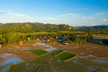 Geleneksel evler ve yemyeşil yemyeşil ile çevrili su basmış pirinç tarlaları ve arka planda engebeli kireçtaşı tepeleri. Sıcak akşam güneşi tarlaların yamasını ve sakin kırsal manzarayı vurguluyor.