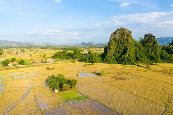 Havadan bakıldığında, Güneydoğu Asya kırsalındaki geniş altın pirinç tarlalarının üzerinde yemyeşil yeşilliklerle kaplı dramatik kireçtaşı oluşumları görülüyor. Olay yeri geometrik alan şekilleri, dağınık çiftlik evleri ve canlı doğal