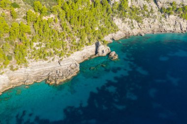Yeşil çam ağaçlarıyla kaplı dik kireçtaşı kayalıkları engebeli kıyı şeridi boyunca turkuaz suları temizlemek için iniyor. Güneş ışığı, orman ve deniz arasındaki katmanlı kaya oluşumlarını ve canlı kontrastı vurgular..