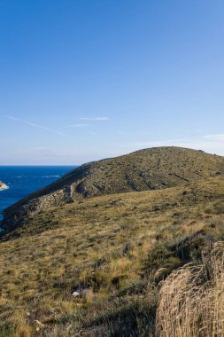 Yunanistan 'ın Cap Tenare kentindeki parlak mavi suların üzerinde altın otlar ve engebeli yamaçlar yükseliyor. Açık arazi, geniş ve bulutsuz bir gökyüzünün altında parlak güneş ışığıyla yıkanır ve vahşi Akdeniz güzelliği hissi uyandırır..