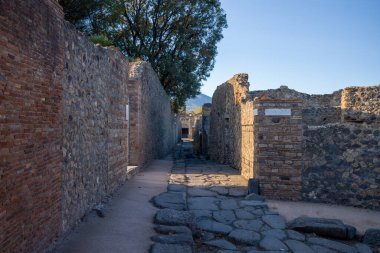 Erken güneş ışığı Pompeii, İtalya 'da volkanik taş ve tuğla duvarlarla kaplı dar bir Roma caddesi boyunca uzun gölgeler bırakır. Tarihi patika uzak yeşilliğe doğru gidiyor ve bu ünlü arkeolojik duvarın dokusunu ortaya çıkarıyor.