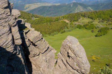 Keskin, katmanlı bazalt kaya oluşumları, Mont de Gerbier de Jonc 'ta açık yaz güneşi altında uzak kaygan tepeler altında çayır ve sık ormanlardan oluşan bir yama üzerinde dramatik bir şekilde yükselir..