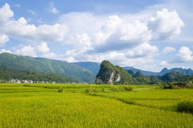 Geniş yeşil pirinç tarlaları uzak dağları ve Kuzey Vietnam 'da görülebilen kırsal bir köyü olan kabarık bulutlarla dolu bir gökyüzünün altında çarpıcı bir kireçtaşı zirvesine doğru uzanır. Manzara güneşli ve açık. Huzur hissi uyandırıyor.