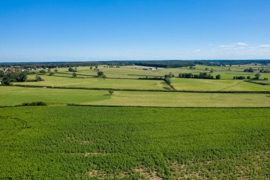 Saint-Germain-Chassenay yakınlarında açık mavi bir gökyüzü altında yeşil yama alanları çitlere bölünmüş. Manzara açık ve güneşli, uzak köyleri ve huzurlu kırsal bir havası var..