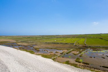 Taştan duvarlarla bölünmüş yeşil tuz bataklığının geniş manzarası, sığırlar ve sığ gelgit havuzlarıyla Cap de la Hague yakınlarında açık mavi bir gökyüzü altında. Manzara, yumuşak bahar ışığı ile açık, doğal ve huzurlu hissettiriyor..