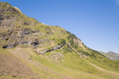 Pireneler 'in geniş yeşil yamaçlarında engebeli kaya oluşumları ve açık mavi gökyüzünün altında dağınık çam ağaçları bulunur. Güneş ışığı, taş ve bitki örtüsünün zıt dokularını vurguluyor ve sakin bir alp manzarası yaratıyor..