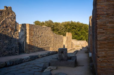 Sıcak akşam ışığı, İtalya 'nın Pompeii arkeoloji sahasındaki yıpranmış taş ve tuğla duvarlarla kaplı dar bir Roma caddesini aydınlatıyor. Volkanik kaldırım boyunca uzanan gölgeler yoğun yeşillik kalıntıların ötesinde doğal bir zemin oluşturur.