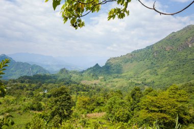Orman tepeleri ve bulutlu bir gökyüzünün altındaki uzak dağ sırtlarıyla çevrili canlı yeşil bir vadi geniş bir görüş alanına sahip. Güneş ışığı, yoğun yeşillik ve yuvarlanan arazinin dokusunu vurgular, derinlik ve doğal güzellik hissi yaratır..