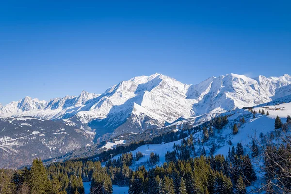 Çam ormanlarının üzerinde yükselen karla kaplı Mont Blanc 'ın geniş manzarası ve derin mavi gökyüzünün altında yuvarlanan kış tepeleri. Parlak güneş ışığı, canlı dokuları ve dramatik alp manzarasını geliştirir..