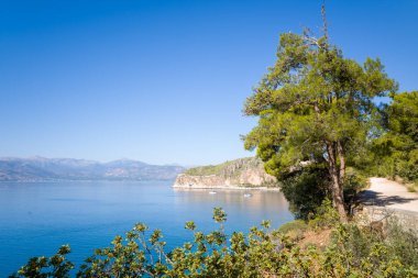 Berrak bir gökyüzü altında sakin mavi su ve uzak dağlar sunan, kayalık bir kıyı şeridi boyunca uzanan bereketli çam ağaçlarıyla kaplı güneşli toprak bir patika. Akdeniz manzarasında canlı yeşillik ve sakin yansımalar yer almaktadır..