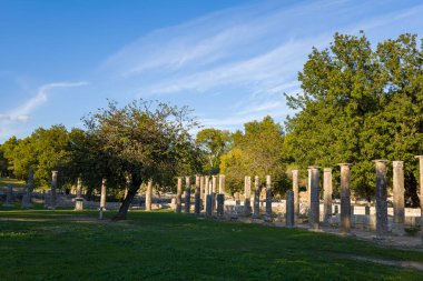 Antik Filistin 'den taş sütunlar Yunanistan' ın Olympia kentindeki gür ağaçlar ve çimenli araziler arasında yükseliyor. Öğleden sonra güneş ışığı, tarihi kalıntıları canlı yapraklarla ve açık gökyüzüyle harmanlayarak arkeolojik alanda hafif gölgeler oluşturur..