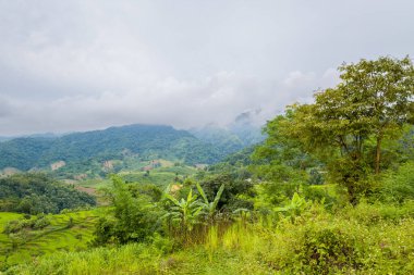 Bereketli yeşil tepeler ve teraslı pirinç tarlaları Dien Bien Phu yakınlarında bulutlu bir gökyüzünün altında sisli bir vadi boyunca uzanıyor. Yoğun yapraklar ve dağınık ağaçlar sakin, doğal bir atmosfer yaratır..