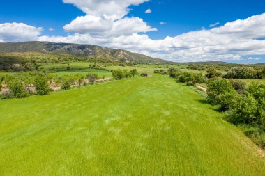 Geniş yeşil bir alan, İspanya 'nın Bierge kenti yakınlarında dinamik beyaz bulutlarla dolu bir gökyüzü altında yuvarlanan tepelere ve engebeli dağlara doğru uzanır. Sahne parlak güneş ışığıyla yıkanmış, taze bahar büyümesi ve sakin kırsal atmosferi vurguluyor..