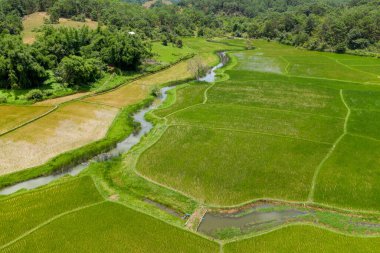 Laos kırsalında sık ormanlarla çevrili yeşil ve bronzlaşmış değişik tonlarda geometrik pirinç tarlaları arasında dönen bir dere yılanı. Hava perspektifi bu kırsal tarımın katmanlı dokularını ve sakin atmosferini vurgular