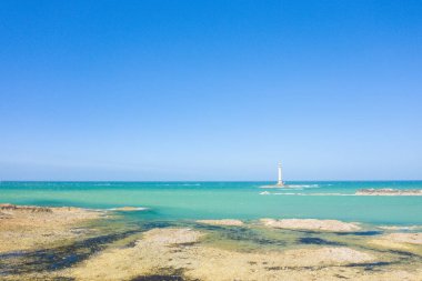 Uzak bir deniz feneri, turkuaz suyla çevrili kayalık bir adada, ön planda gelgit düzlükleri ve deniz yosunlarıyla Cap de la Hague 'de berrak mavi bir gökyüzünün altında duruyor. Sahne açık, güneşli ve sakin..