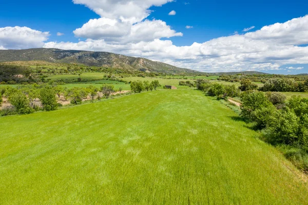 Geniş yeşil bir alan, İspanya 'nın Bierge kenti yakınlarında dinamik beyaz bulutlarla dolu bir gökyüzü altında yuvarlanan tepelere ve engebeli dağlara doğru uzanır. Sahne parlak güneş ışığıyla yıkanmış, taze bahar büyümesi ve sakin kırsal atmosferi vurguluyor..