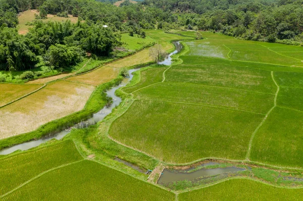 Laos kırsalında sık ormanlarla çevrili yeşil ve bronzlaşmış değişik tonlarda geometrik pirinç tarlaları arasında dönen bir dere yılanı. Hava perspektifi bu kırsal tarımın katmanlı dokularını ve sakin atmosferini vurgular