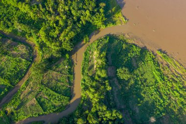 Mekong nehri boyunca uzanan dolambaçlı kahverengi su yollarını çevreleyen yemyeşil bitki örtüsü ve ekili arazilerin genel perspektifi. Manzara canlı yapraklar, geometrik alan desenleri ve parlak doğal ışık ile zıt dokulara sahiptir..
