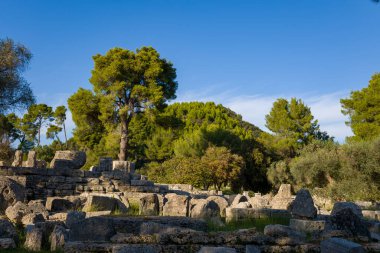 Yunanistan 'ın Olympia kentindeki Zeus Tapınağı' nın yıpranmış taş kalıntıları uzun çam ağaçları ve gür yeşilliklerin altında dinleniyor. Sıcak öğleden sonra güneş ışığı, berrak mavi gökyüzü altında dokulu ve sakin arkeolojik manzarayı vurgular..