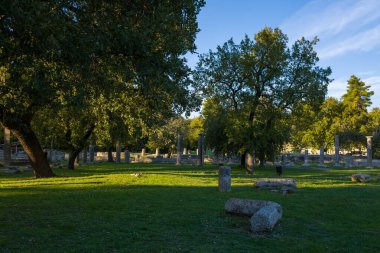 Yunanistan 'ın Olympia kentindeki olgun ağaçların altında antik Filistin' den dağılmış taş sütunlar ve yıpranmış duvar ustaları duruyor. Öğleden sonra güneş ışığı çimenli arkeoloji sahasında uzun gölgeler oluşturarak harabelerin ve harabelerin sakin karışımının altını çiziyor.
