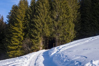 Uzun çam ağaçları ve parlak kış güneşi tarafından çerçevelenmiş, sarmal karla kaplı bir patika, sık ve yemyeşil bir ormana götürür. Kıtır gölgeler ve el değmemiş kar barışçıl bir dağ havası yaratır..