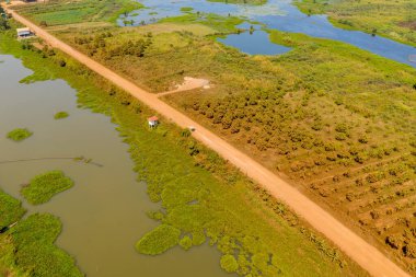 Kamboçya 'nın Phnom Penh kenti yakınlarında dağınık göletleri ve yeşil alanları olan yemyeşil kırsal sulak alanların yanında uzanan kırmızımsı toprak yolun geniş bir hava perspektifi. Parlak gün ışığı su kanallarının, bitki örtüsünün ve açık