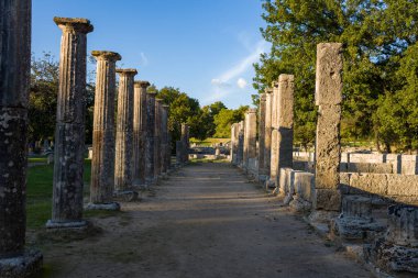Yunanistan 'ın Olympia kentindeki olgun ağaçların altında antik Filistin' den kalma sıralanmış taş sütunlar var. Ilık öğleden sonra güneş ışığı uzayan gölgeler, dokulu harabeleri ve canlı yeşillikleri aydınlatıyor..
