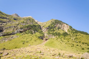 Pireneler 'deki güneşli çimenli bir dağ yamacının geniş manzarası, küçük çam ağaçları ve parlak mavi gökyüzünün altındaki engebeli kayalık çıkıntılar. Manzara parlak doğal renklere ve sakin bir alp atmosferine sahiptir..