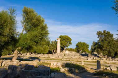 Yunanistan 'ın Olympia kentinde, dağınık taş kalıntıları ve yemyeşil zeytin ağaçları arasında Zeus Tapınağı' ndan gelen eski ve ıssız bir kolon bulunuyor. Sıcak öğleden sonra güneşi ve açık mavi gökyüzü tarihi arkeolojik manzarayı vurguluyor..