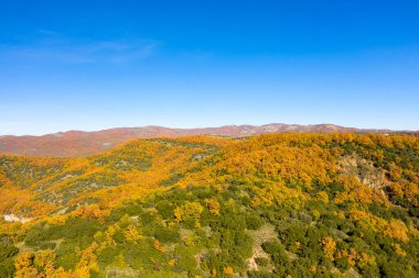 Yunanistan 'ın anakarasında altın ve yeşil sonbahar yapraklarıyla kaplı yuvarlanan tepelerin geniş manzarası canlı mavi gökyüzünün altında parlak güneş ışığıyla aydınlanıyor.