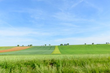 Belirgin çizgileri olan canlı yeşil alanlar ve geniş mavi bir gökyüzünün altında uzanan küçük ağaçlar Cuncy les Varzy yakınlarında yeni ve açık bir kırsal alan yaratıyor..