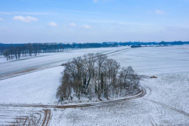 Fransa 'nın Normandiya kırsalındaki geniş, karla kaplı tarım tarlalarının ortasında soluk mavi bir kış gökyüzünün altında yapraksız ağaçlardan oluşan küçük bir grup tek başına duruyor..