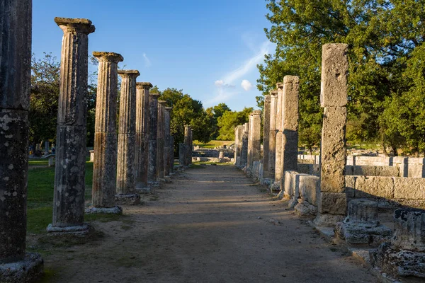Yunanistan 'ın Olympia kentindeki olgun ağaçların altında antik Filistin' den kalma sıralanmış taş sütunlar var. Ilık öğleden sonra güneş ışığı uzayan gölgeler, dokulu harabeleri ve canlı yeşillikleri aydınlatıyor..