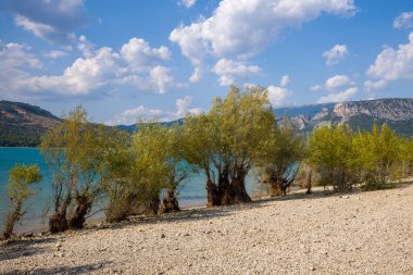 Yapraksı ağaçlar, Sainte-Croix Gölü 'ndeki taşlı bir sahil boyunca, açık mavi-yeşil sularla ve dağınık bulutlarla dolu gökyüzünün altındaki uzak dağlarla büyür..