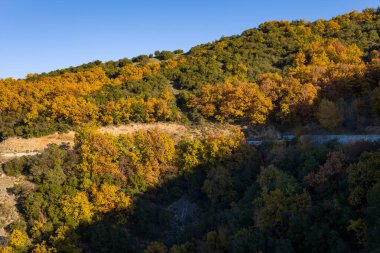 Yunanistan 'da güneşli bir yamacı kaplayan renkli sonbahar ağaçları, dolambaçlı kırsal bir yol açık mavi gökyüzünün altındaki altın ve yeşil yapraklar arasında kısmen görülebilir..